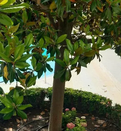 Apartahotel Apartcomplex Splendid Saints Constantine and Helena