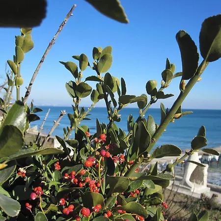 Apartahotel Apartcomplex Splendid Saints Constantine and Helena